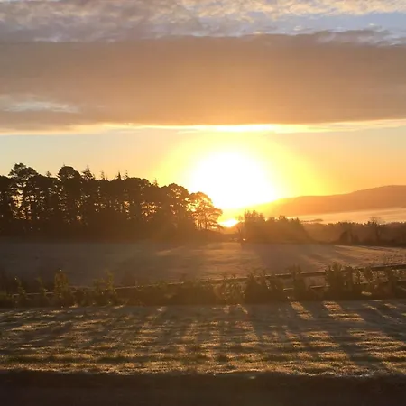 Iniscealtra Mini Bedsit Mountshannon