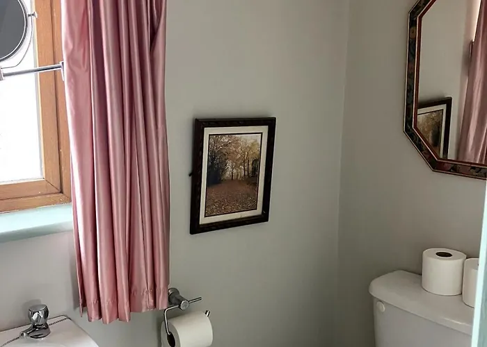 Iniscealtra Mini Bedsit 公寓