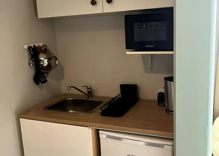 Iniscealtra Mini Bedsit 公寓 Mountshannon