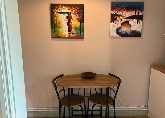 Iniscealtra Mini Bedsit 公寓 *