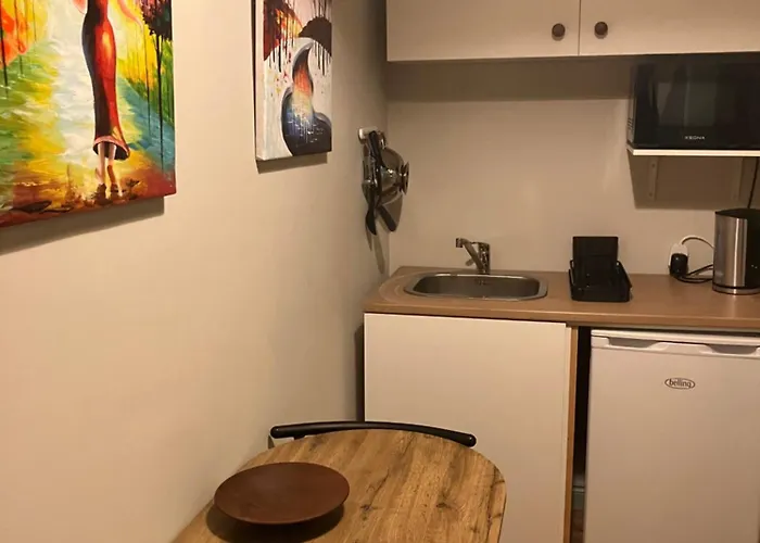 Iniscealtra Mini Bedsit 公寓 Mountshannon